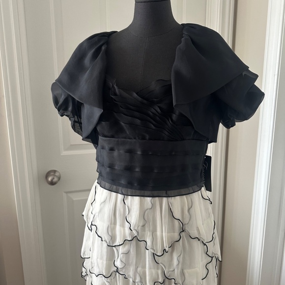 Frascara Silk long gown - Picture 5 of 10